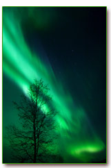Aurora Borealis, het Noorderlicht