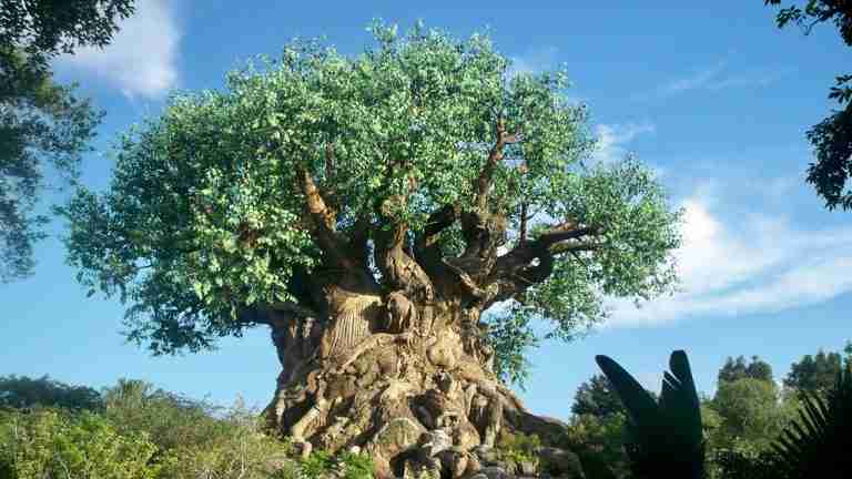 De Axis Mundi – De sjamanistische Levensboom